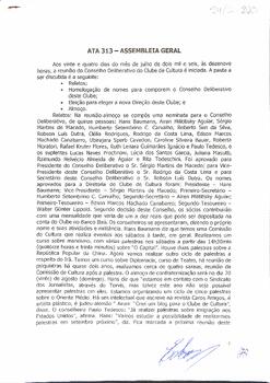 Ata do Conselho Deliberativo nº 313