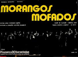 Morangos mofados